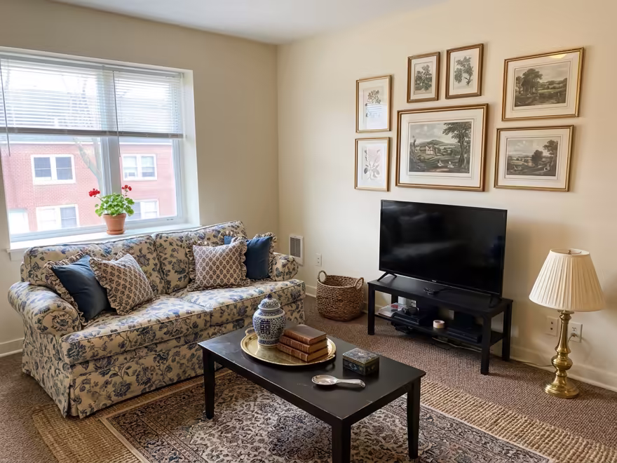The hero living room redesigned in Grandmillennial style